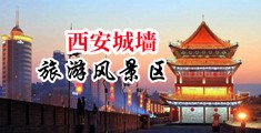 鸡巴抽插美女3D中国陕西-西安城墙旅游风景区