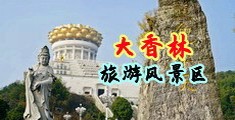 男女插插视频网站中国浙江-绍兴大香林旅游风景区